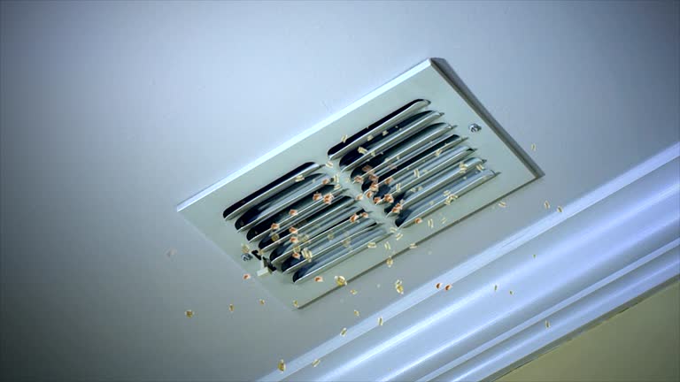 Best Air Duct Inspection  in Five Points, FL