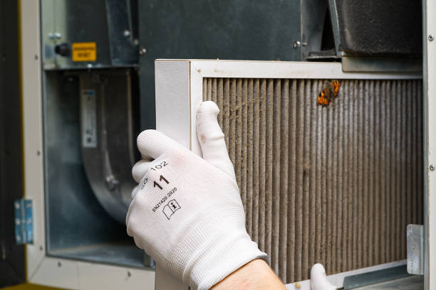 Best Affordable HVAC Duct Cleaning  in Five Points, FL