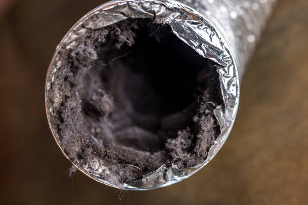 Best Air Duct Cleaning Near Me  in Five Points, FL
