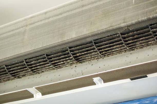 Best HVAC System Cleaning  in Five Points, FL